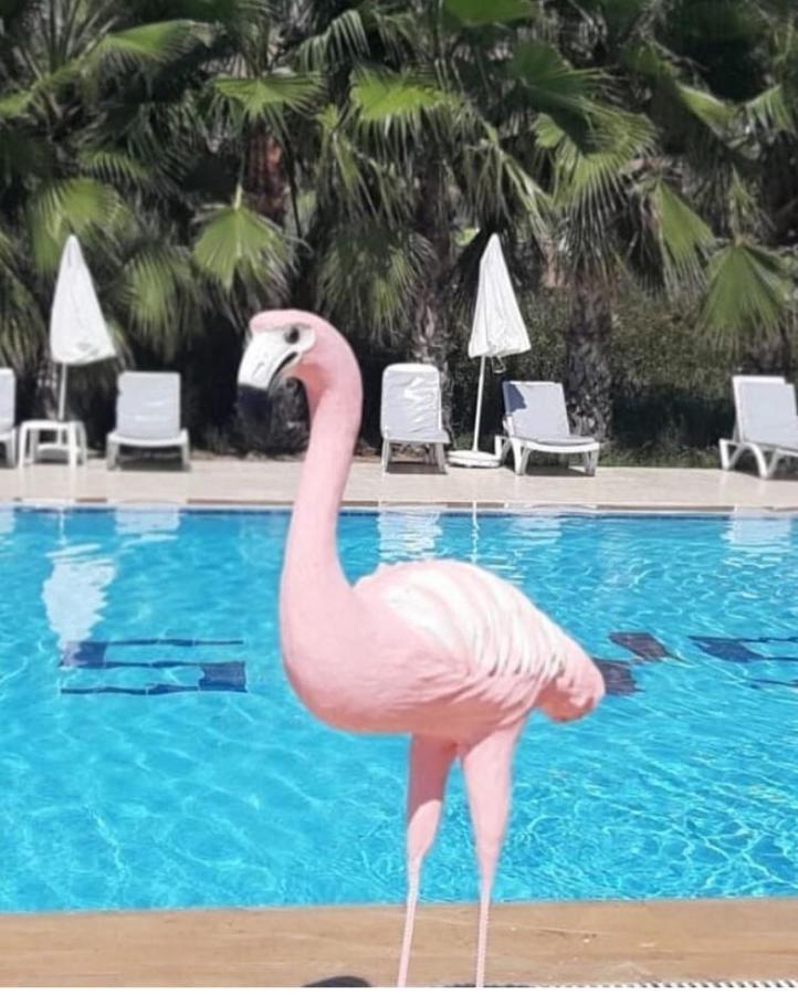Skys Beach Hotel Manavgat Exteriör bild