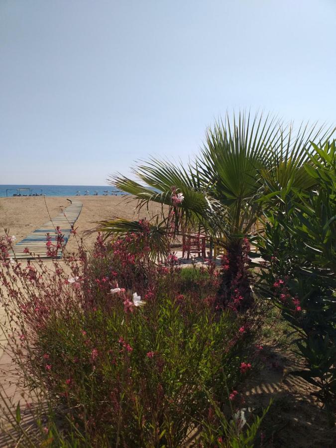 Skys Beach Hotel Manavgat Exteriör bild