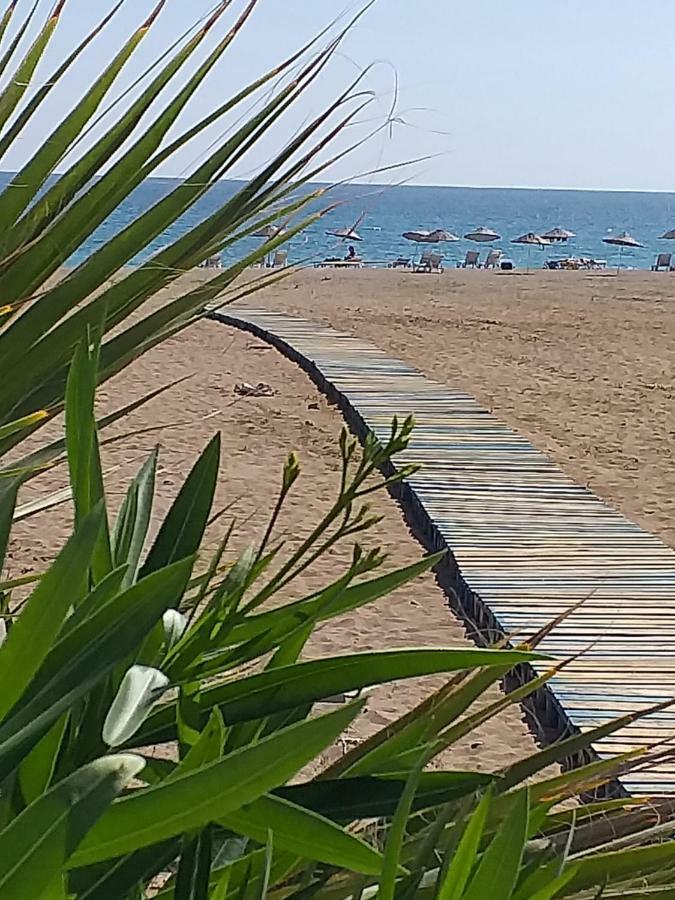 Skys Beach Hotel Manavgat Exteriör bild